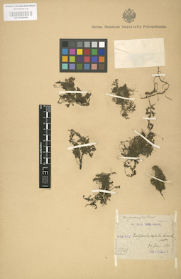 LE 01000480