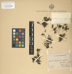 LE 01000483