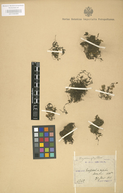 LE 01000484