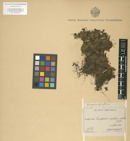 LE 01000487