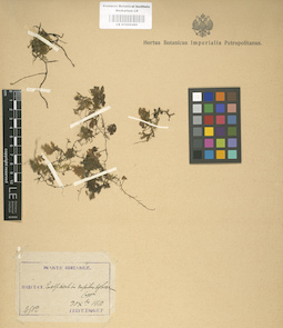 LE 01000489