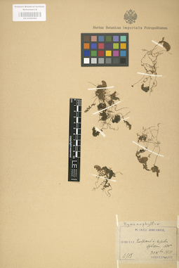 LE 01000490