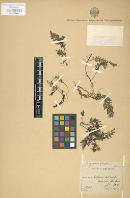 LE 01000491