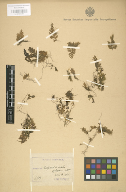 LE 01000492