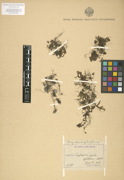 LE 01000496