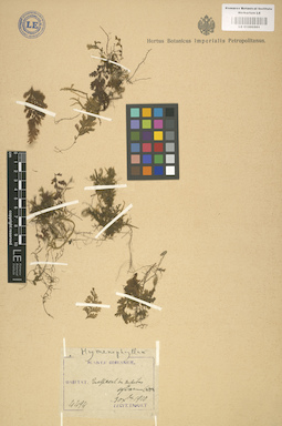 LE 01000501