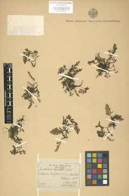 LE 01000502