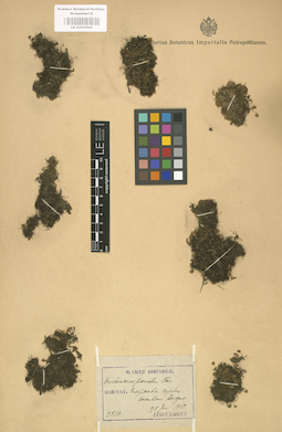 LE 01000505