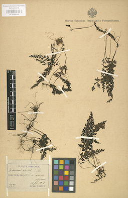 LE 01000506