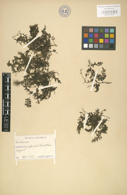 LE 01000507