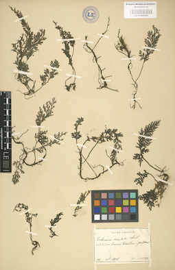 LE 01000508