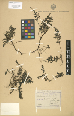 LE 01000509