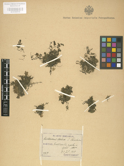 LE 01000516