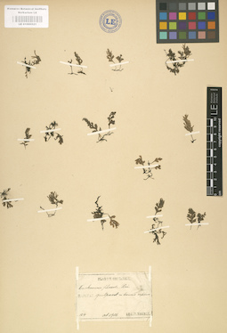 LE 01000521