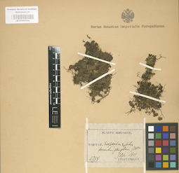 LE 01000524