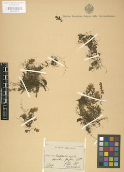 LE 01000525
