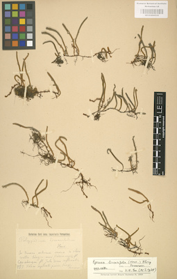LE 01000533