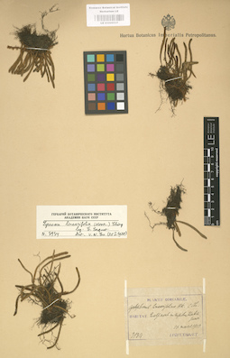 LE 01000537