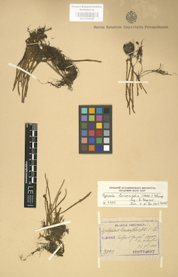 LE 01000538