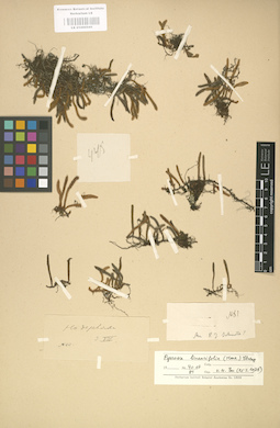 LE 01000541