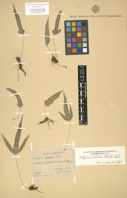 LE 01000554
