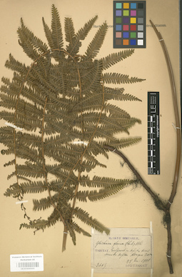 LE 01000555