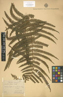 LE 01000558