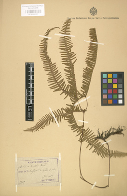 LE 01000561