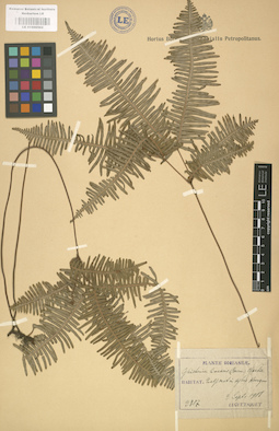 LE 01000562