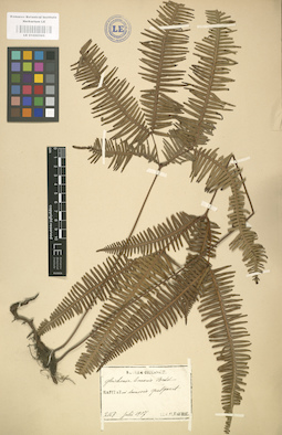 LE 01000565