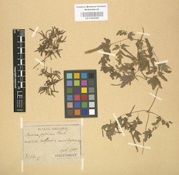 LE 01000566