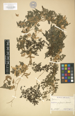 LE 01000567