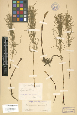 LE 01000570