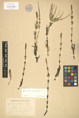 LE 01000577