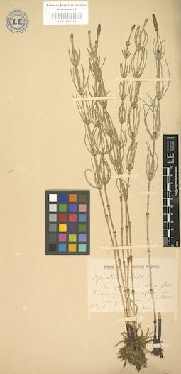 LE 01000578