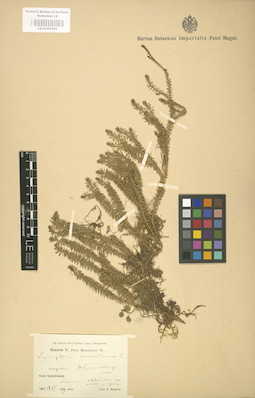LE 01000582