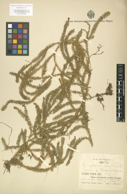 LE 01000583