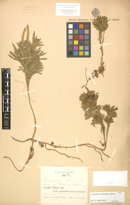 LE 01000592