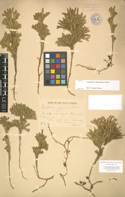LE 01000593