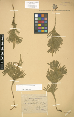 LE 01000599