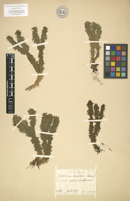 LE 01000605