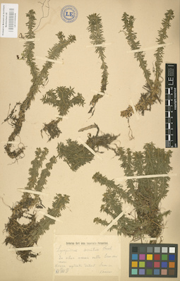LE 01000606