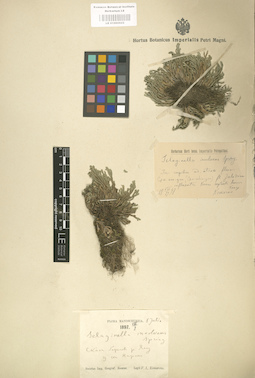 LE 01000622