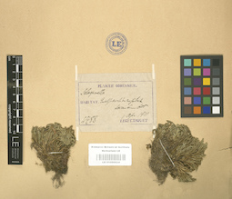 LE 01000624