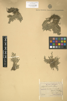 LE 01000626