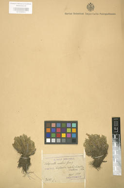LE 01000627