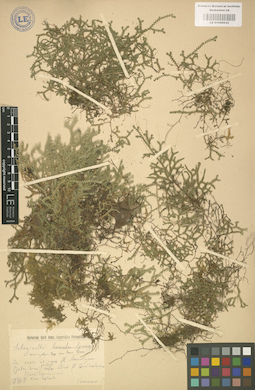 LE 01000632