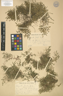 LE 01000634