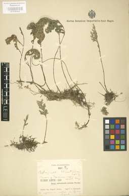 LE 01000640