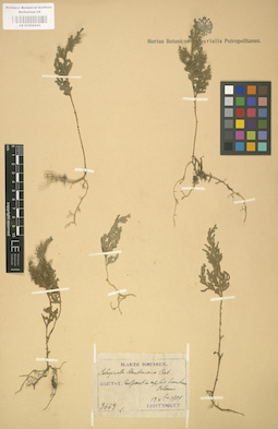 LE 01000643